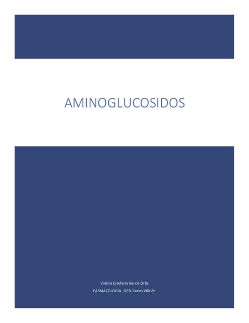 Aminoglucosidos