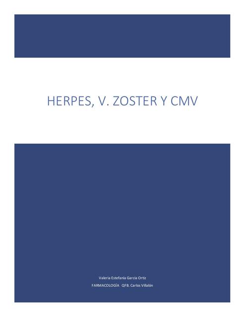 HERPES V ZOSTER Y CMV