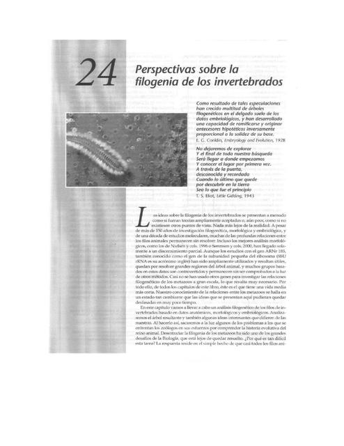 Perspectivas sobre la filogenia de los invertebrados