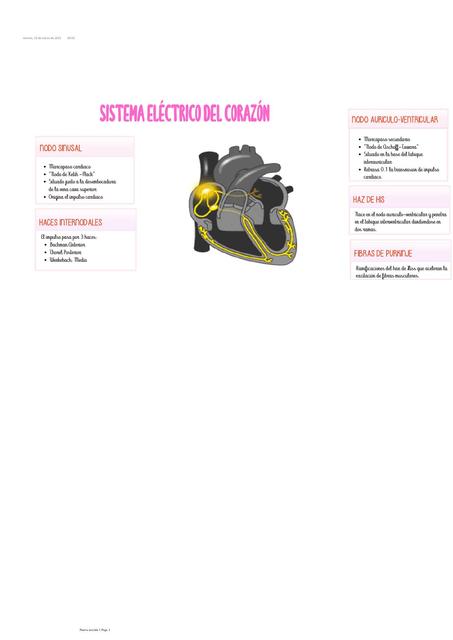 Sistema eléctrico del corazón