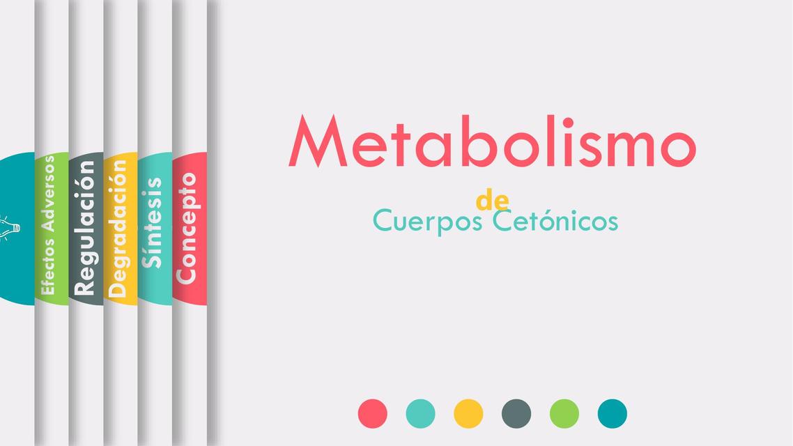 Metabolismo de Cuerpo Cetonicos