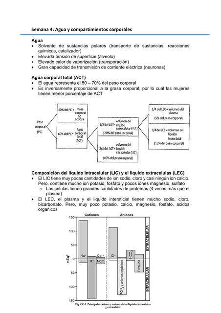 Agua y compartimientos corporales