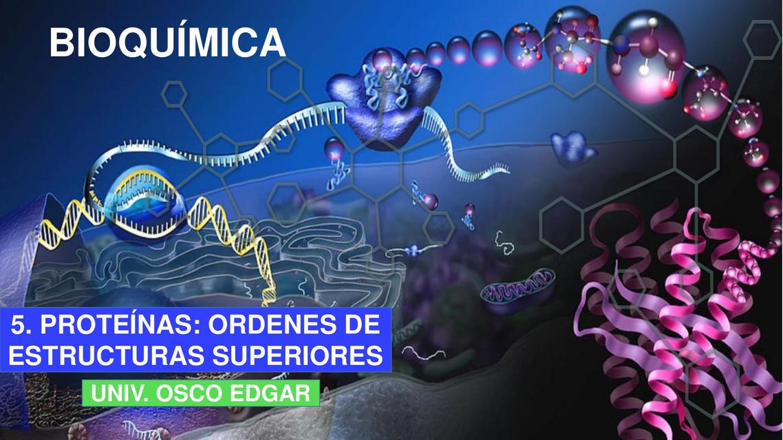 Proteínas - Ordenes de Estructuras Superiores