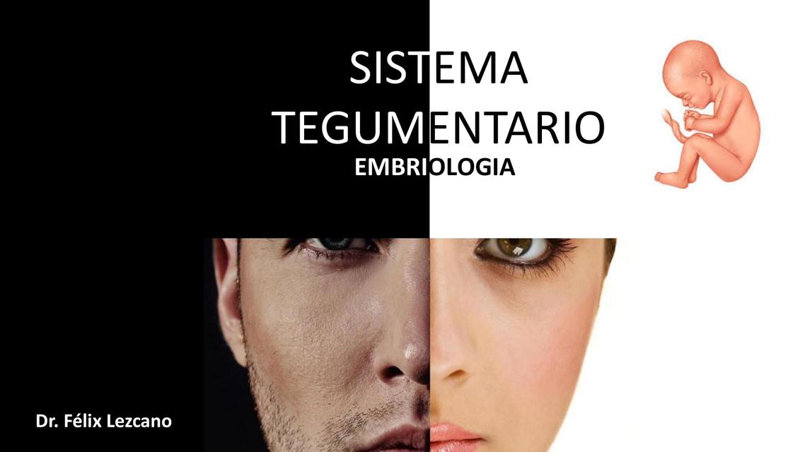 Sistema Tegumentario