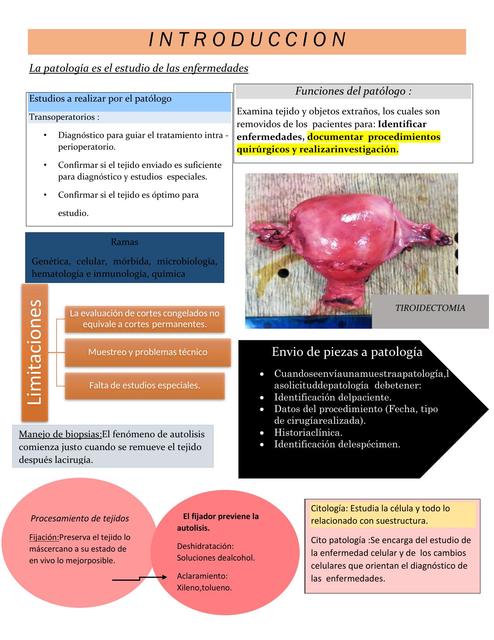 Repasos patología