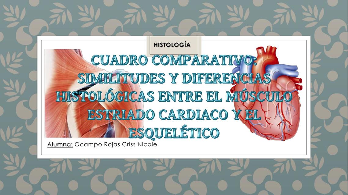 TEJIDO MUSCULAR CARDIACO-CUADRO COMPARATIVO