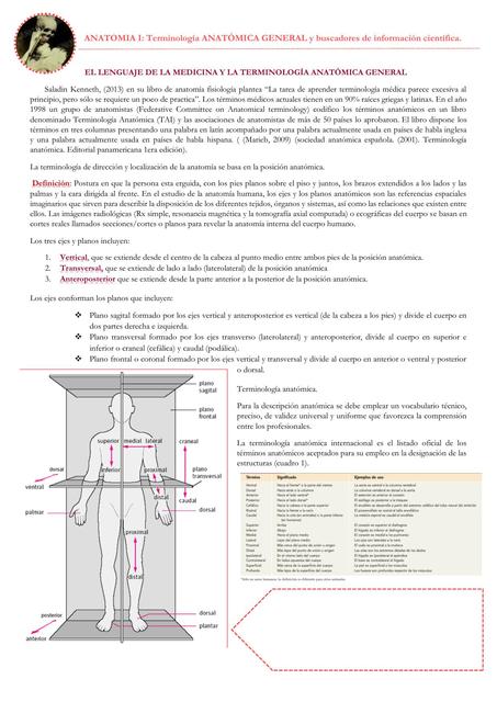 Guías de Anatomía