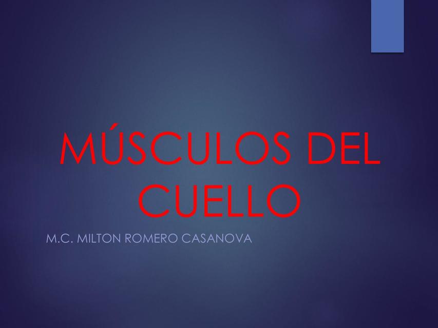 Anatomía músculos del cuello