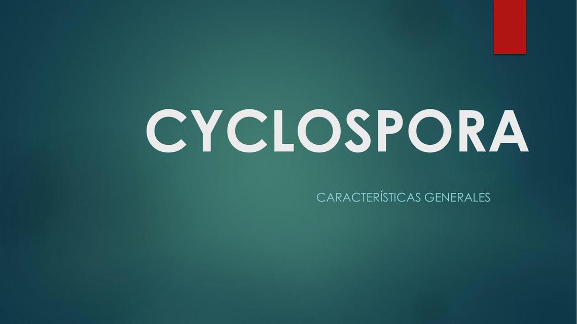 Caracteristica de la Cyclospora