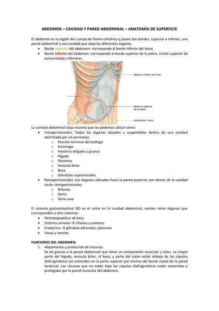 Estructuras anatómicas del Sistema Digestivo