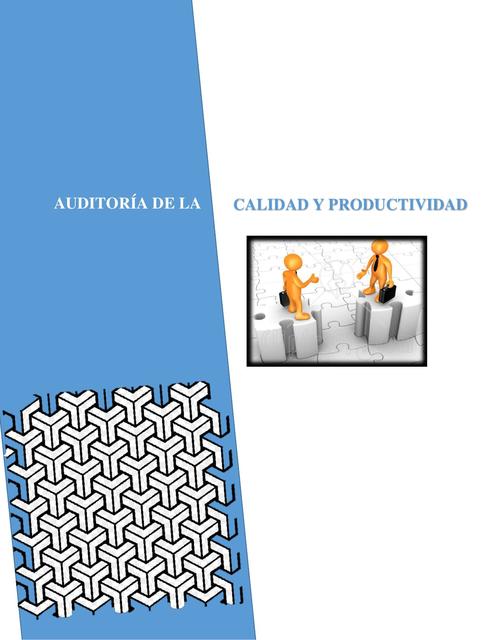 Productividad y auditoria de la calidad