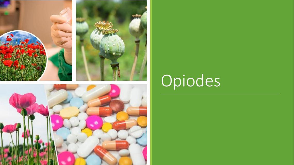 Opioides Apuntes médicos Diapositivas de medicina uDocz