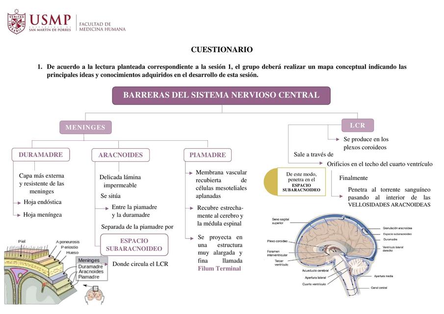 Barrera Cerebrales e Invasión Meningea