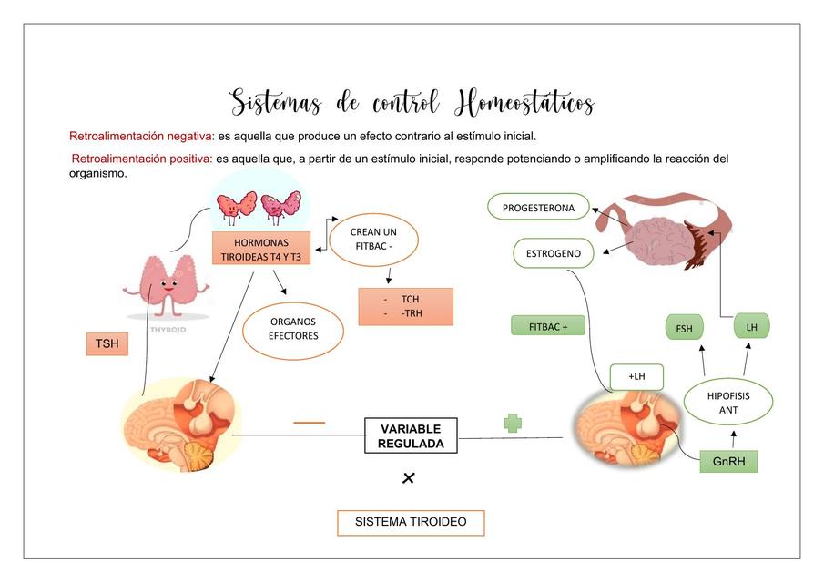 Sistemas de control Homeostáticos