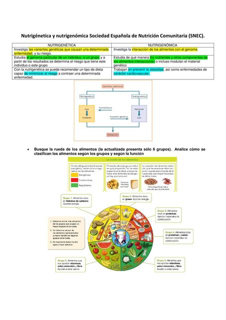 Nutrigenética