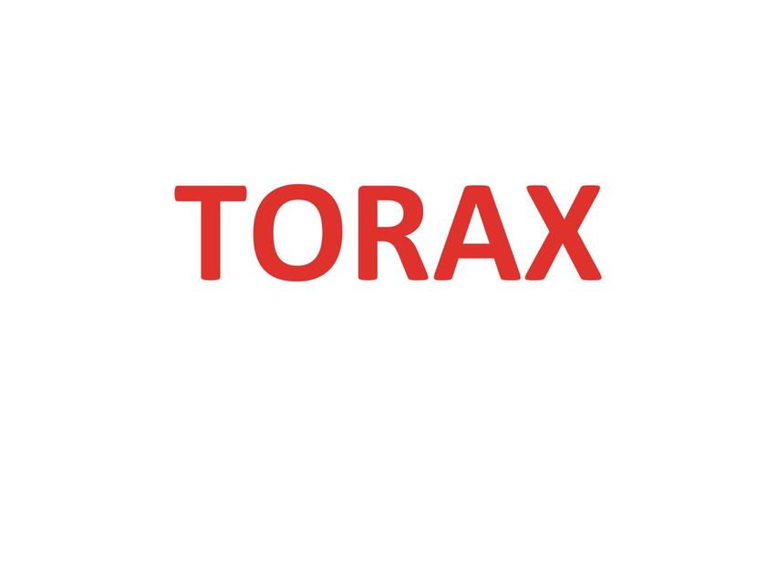 Torax