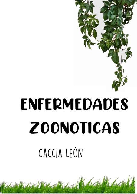 Enfermedades zoonoticas