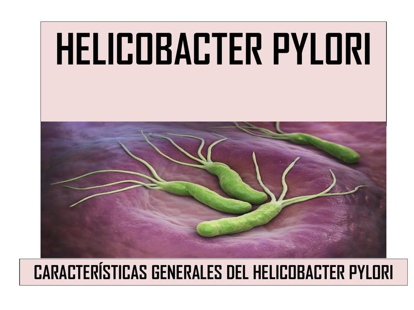 Helicobater Pylori