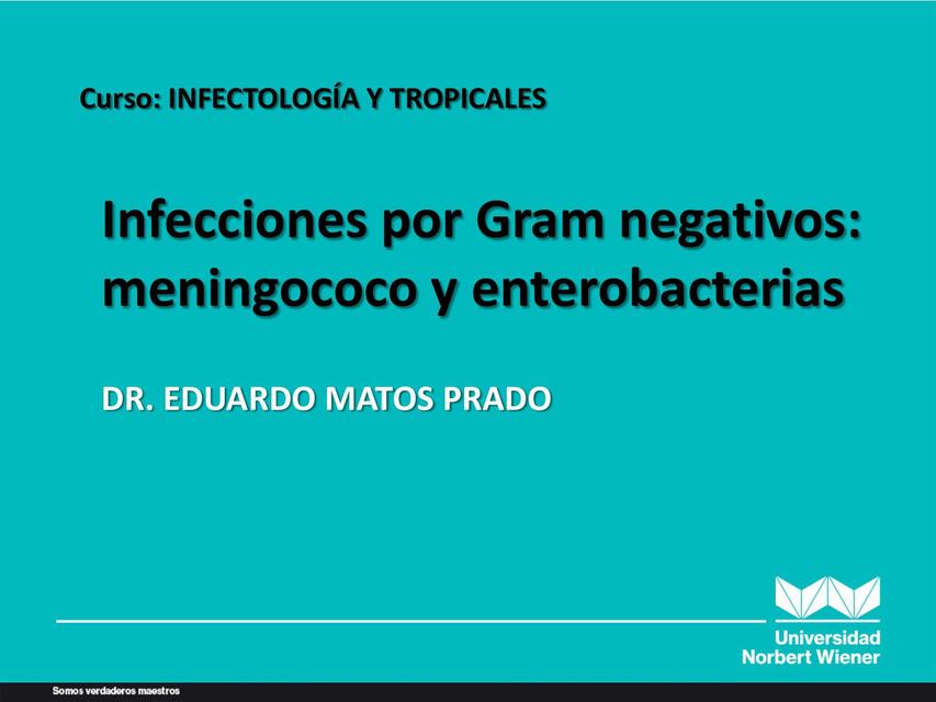 Infecciones por Gram negativos 