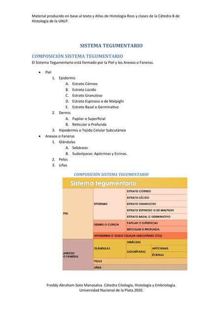 Sistema Tegumentario