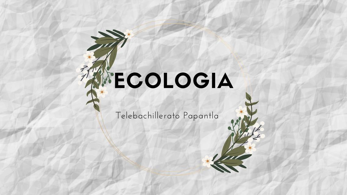 Ecologia Udocz