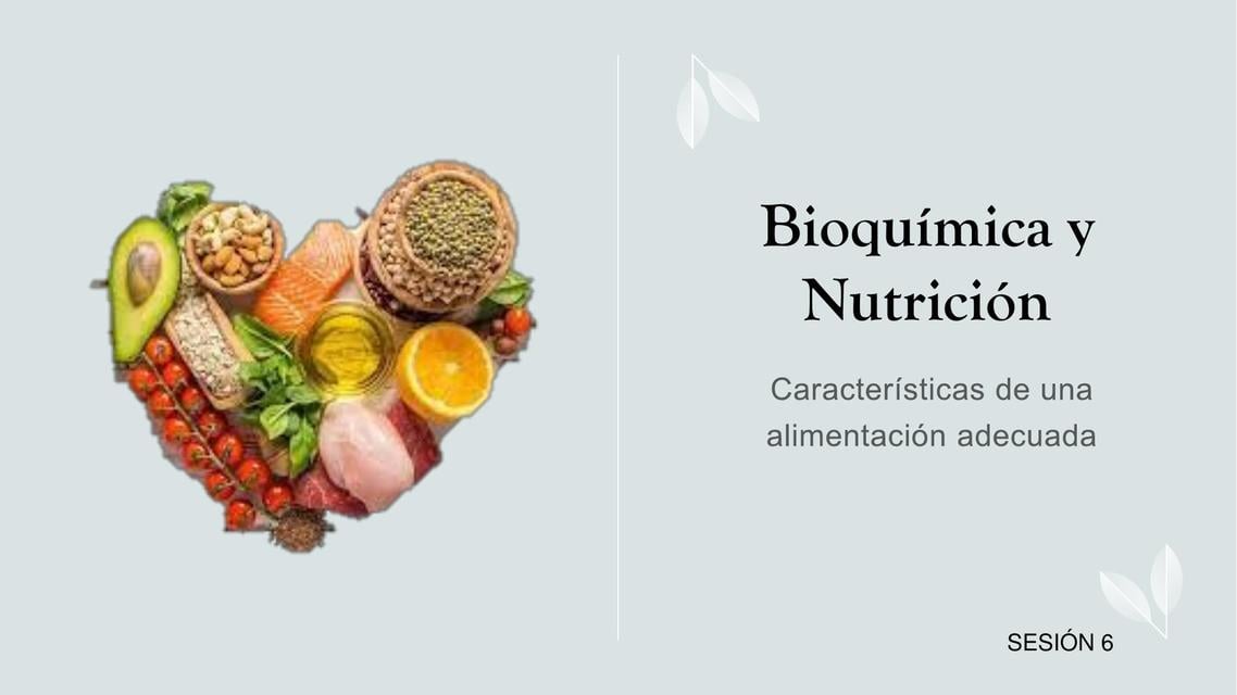 Bioquímica y Nutrición | Nutrición | Macronutrientes | uDocz