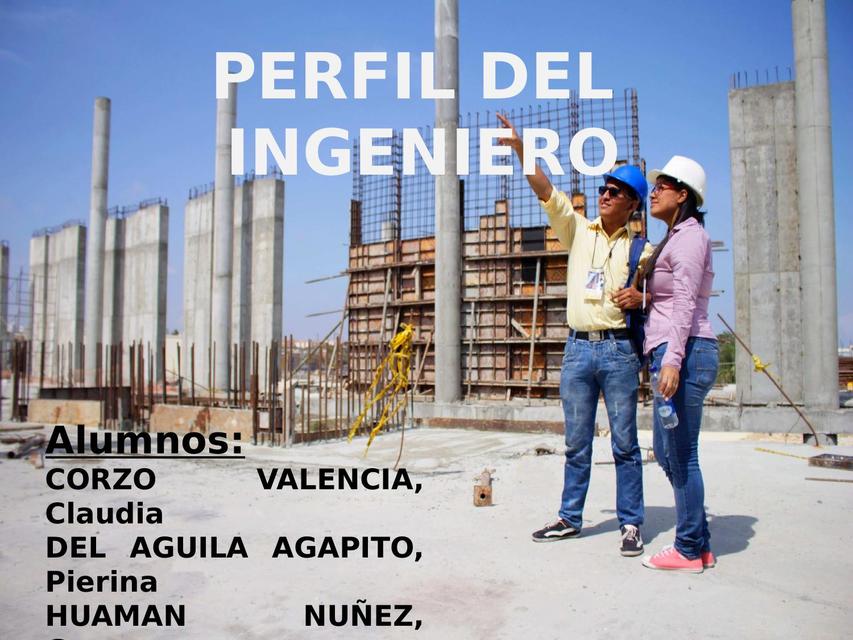 Perfil Del Ingeniero Civil