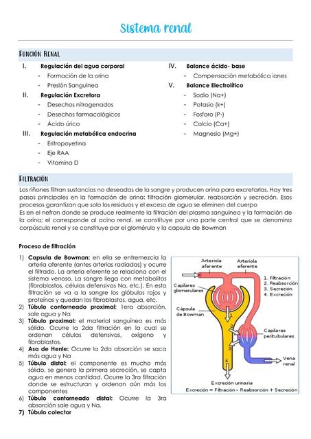 Enfermedad renal