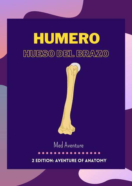 Hueso Húmero