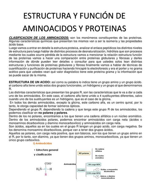 Estructura y Función de Aminoacidos