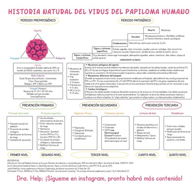 Historia Del Vph Historia Natural Enfermedades Virus Del Papiloma Humano Udocz