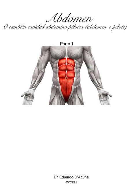 Abdomen