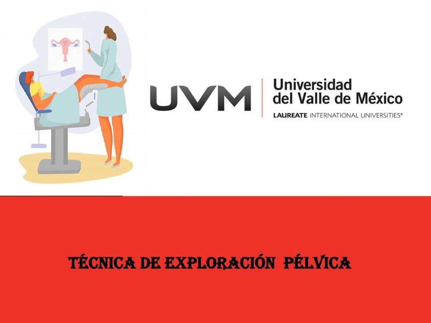 Técnica exploración pélvica