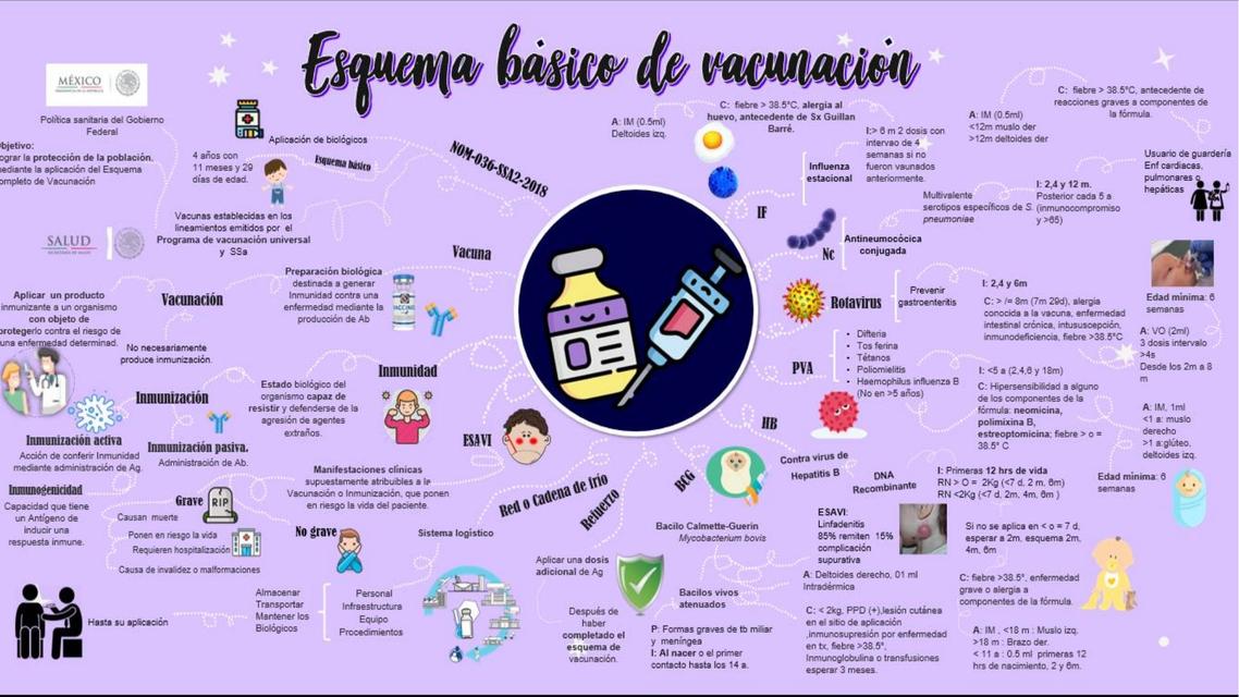 Esquema Básico de Vacunación