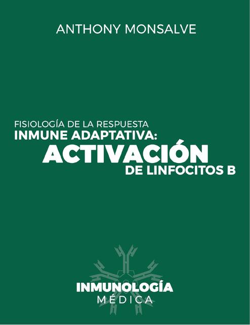 Activación de Linfocitos B