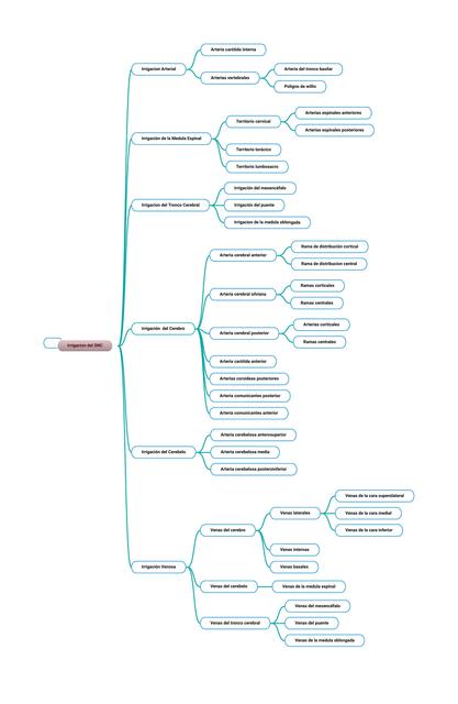 Irrigación del SNC