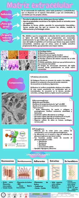 Matriz Extracelular