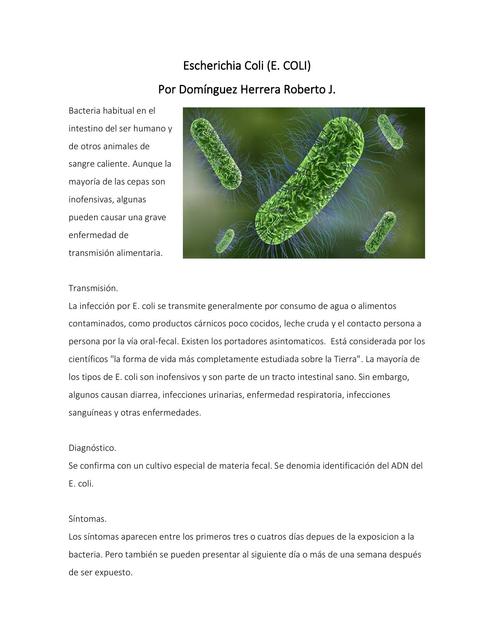 Escherichia Coli E. Coli