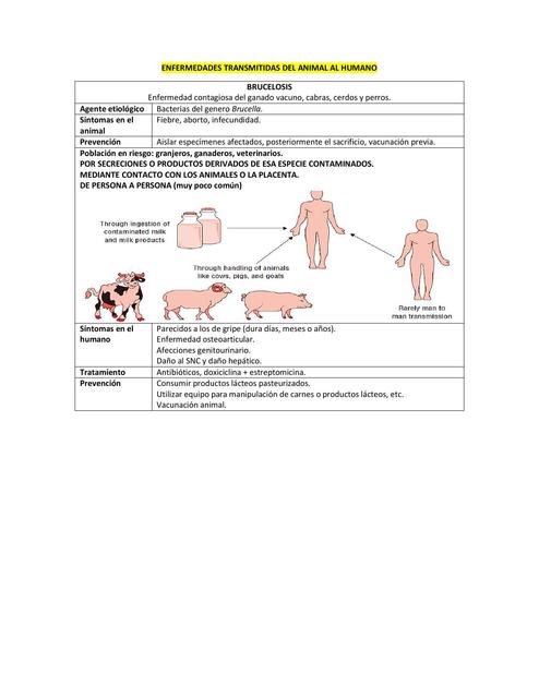 Enfermedades zoonóticas, zoología aplicada a la farmacia