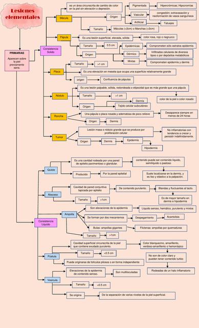 Lesiones Elementales