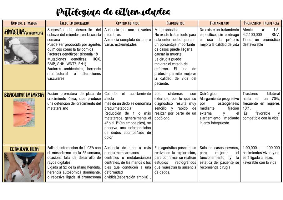 Patologías de extremidades