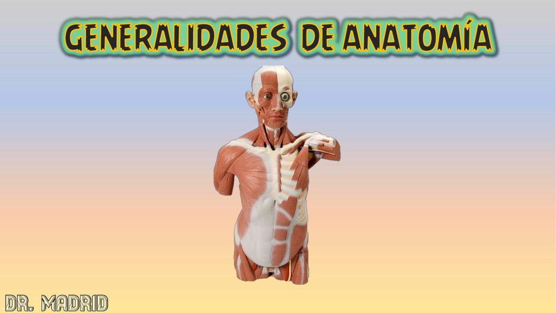 Generalidades de anatomía