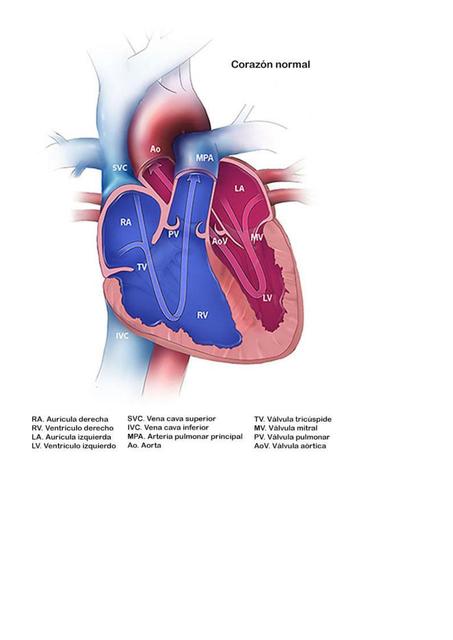 Corazón