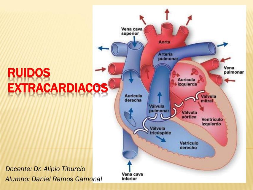 Ruidos extracardiacos