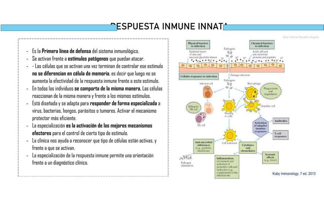 Respuesta Inmune Innata