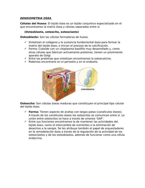 Densiometría Osea Resumen