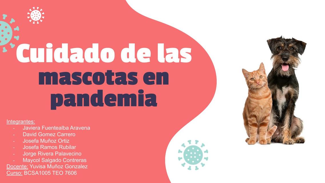 Cuidado de las mascotas en pandemia