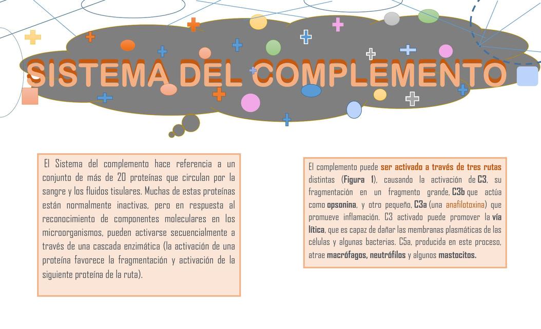 Sistema del Complemento