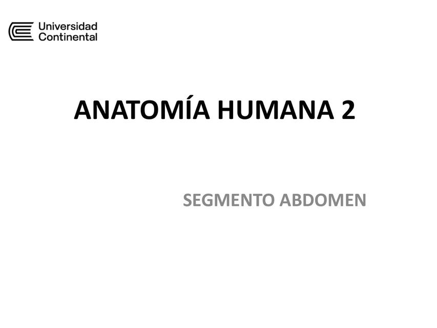 Anatomía Abdomen