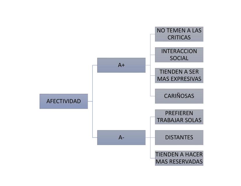 5 Factores de la Personalidad